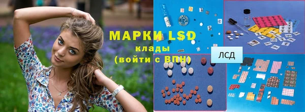 ПСИЛОЦИБИНОВЫЕ ГРИБЫ Алексин