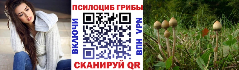 Галлюциногенные грибы мухоморы  Клин 
